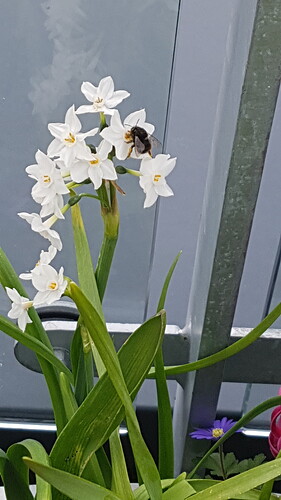 20180413_145925