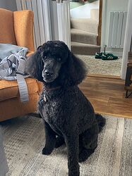 IMG-20220903-WA0002