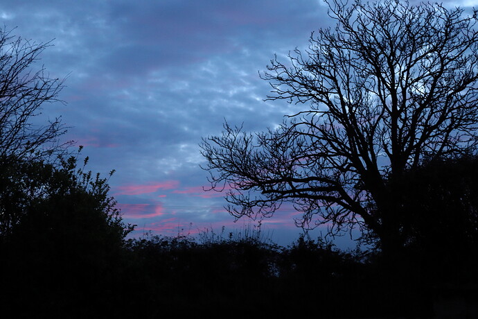 sunset2