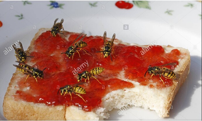 Screenshot_20200329-140108_Google