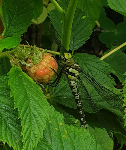 20190625_184514