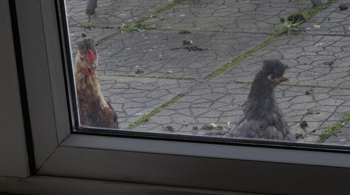 Bran & Vicky II (smaller)