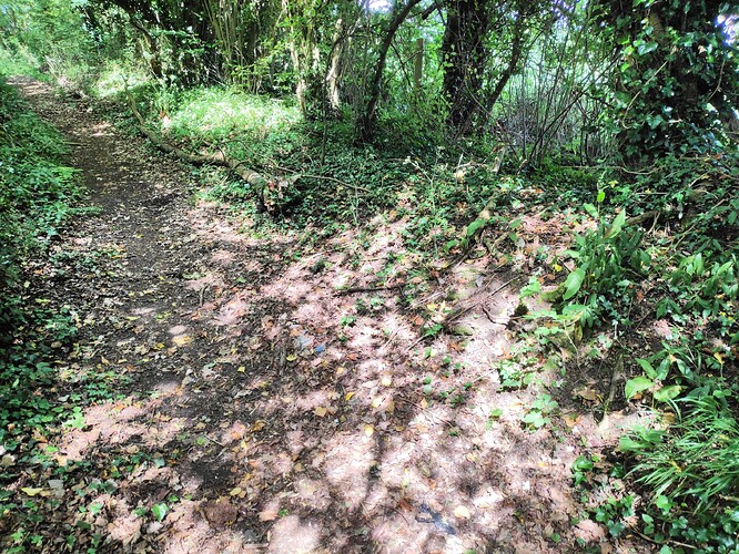 IMG_20190606_150005_DRO