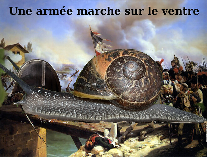 une_armée_marche