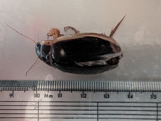 PXL_20260323_073226122