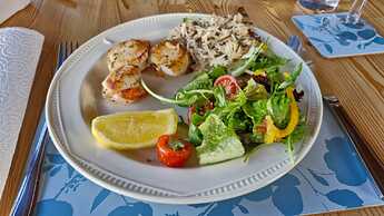 IMG-20240926-WA0000(1)