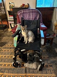 IMG_1011