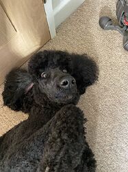 IMG_00831