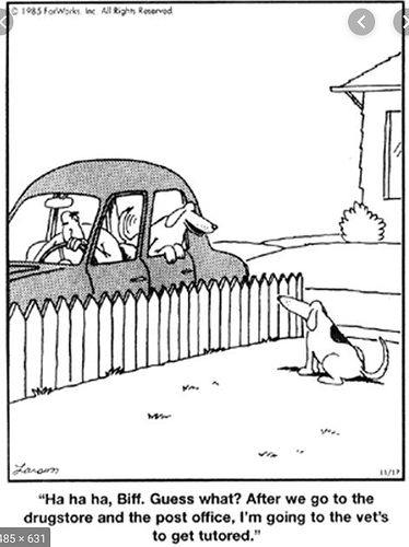 49299683576_26cd0319bb_o