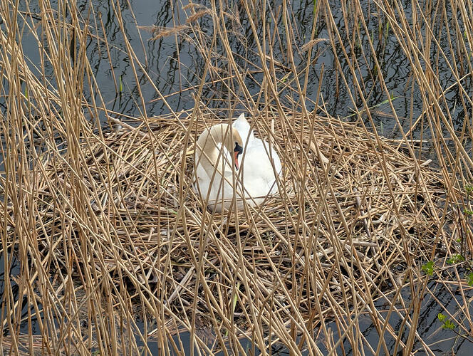 PXL_20260409_100847058