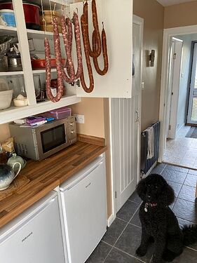 Resized_IMG_00491