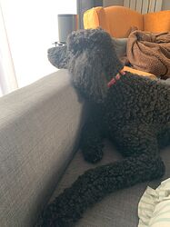 IMG-20220702-WA0011