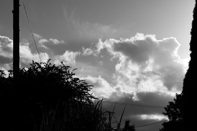 IMG_0402_mono