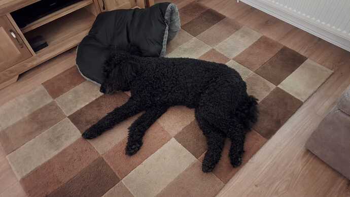 IMG-20251212-WA00011