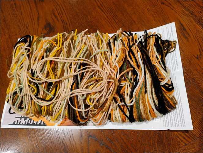 IMG_20251115_183055580_BURST000_COVER