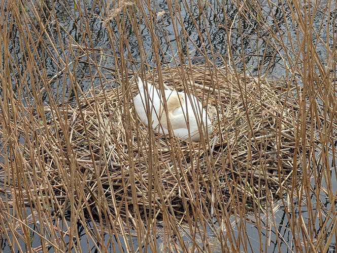 PXL_20260409_100642094