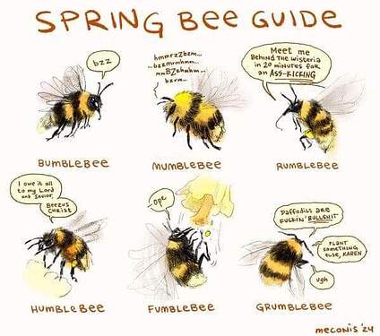 WhatsApp Image 2024-03-14 at 15.10.17_d40783e3