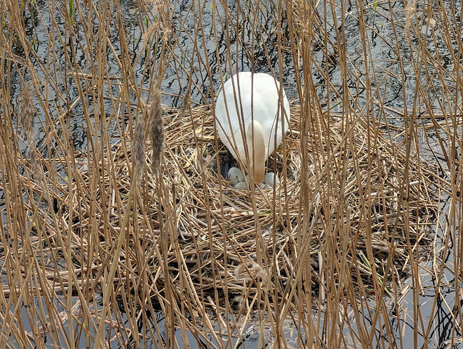 PXL_20260409_101018647