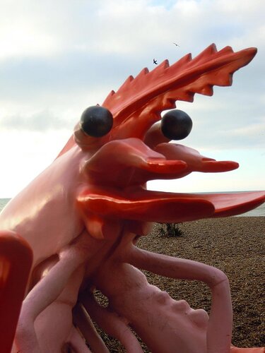 5485635490_086d21f504_b