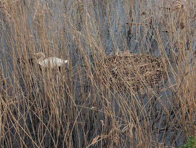 PXL_20260329_094058268.MP