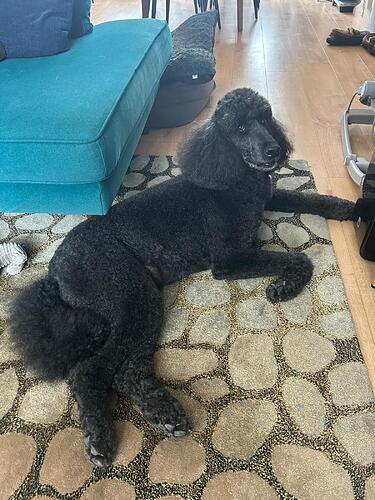 IMG-20250920-WA0000-1