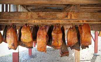 hakarl-fermentation-process
