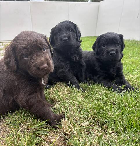 537603035_1248396230660744_7022576423934115745_n