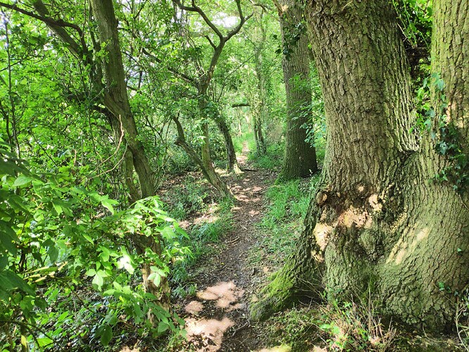 IMG_20190606_143639_DRO