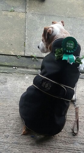 FB_IMG_1769623595039