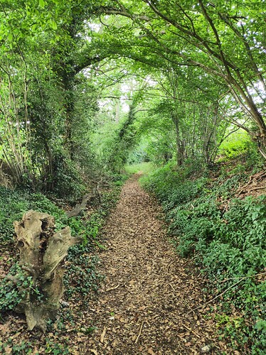 IMG_20190606_145319_DRO