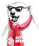 specsbear
